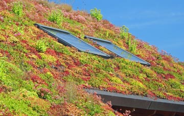 Knightswood living roof systems